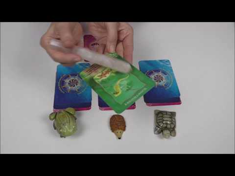 Wochenorakel für Liebe, Beruf und Finanzen vom 05. bis 11. Juni 2017