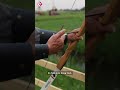 Boogschietfanaat leert je de kneepjes van het vak | #shorts