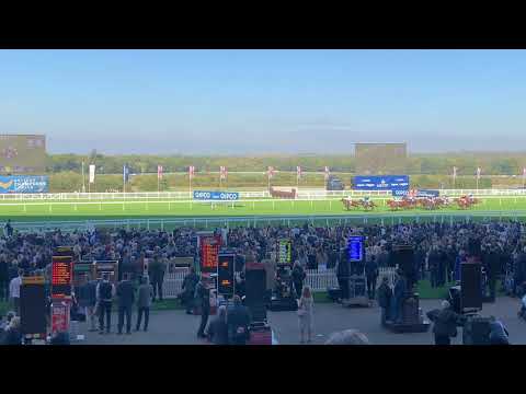 Race 2 British Champions Sprint Stakes - Ascot - 20/10/18