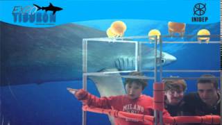 DIA 2 Expo Tiburon274