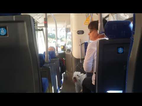 *DEMONSTRATOR* Journey On The H2 (YJ67 GEK)