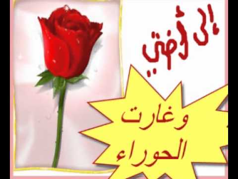 MohamedBaumy’s Video 23047828333 2BD_enCQOfI