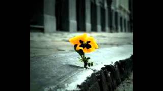 me vuelve loco tu forma d ser - alberto y roberto