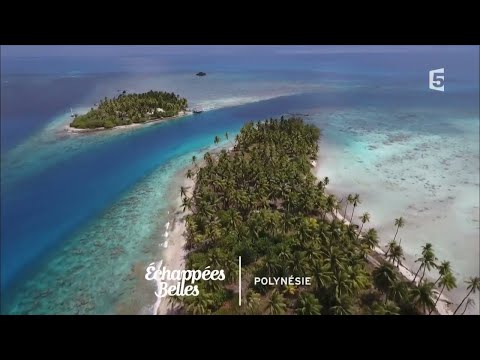 Polynésie, un goût de paradis - Échappées belles