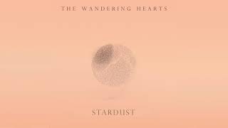 Stardust Music Video