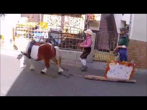 2/2 Historischer Umzug der Waldarbeiter und Arbeitspferde in Elmstein 2016