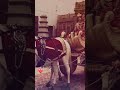 Tulsi Vivah Status Video Dwarkadhish New Video Dwarkadhish