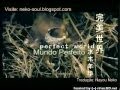 Fly with me - Shui Mu Nian Hua [Legendado PT|BR ...