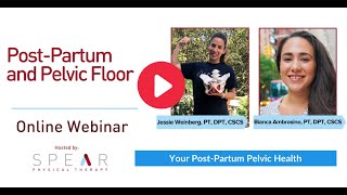 Post-Partum Pelvic Floor Online Webinar