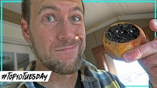 We Made a MISTAKE! | Nominate the Best Greenhouse Designs