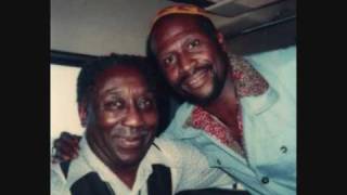 Rainy Day, Dream Away - A Tribute to Jimi Hendrix by Taj Mahal &amp; LMO