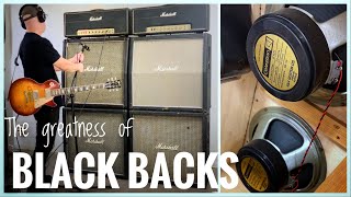 Video thumbnail for Now I realize the greatness of Celestion BLACKBACK Speakers! by Johan Segeborn