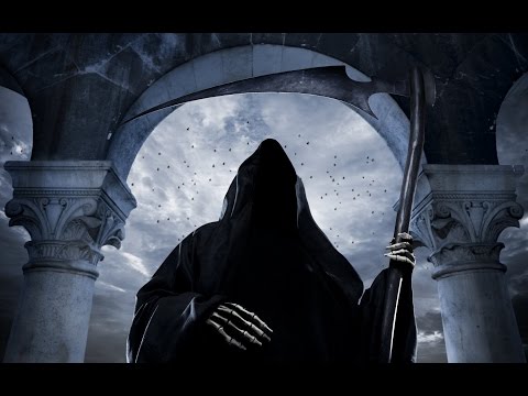 Raid Night Holy Priest Perspective