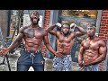 Street Workout | Full Body Workout for Muscle | 500 Pull ups
