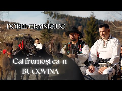 Dorel Crainiciuc-Cai frumoși ca-n Bucovina 