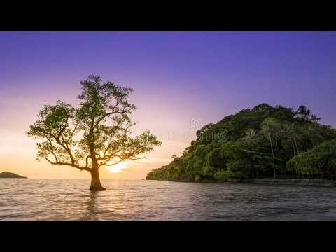 Bustrexx - The Business of Sadness (Ft.CoMa)