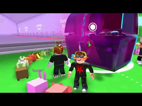 Завалило деньгами New Area Pet Simulator Огромный сундук ПЛЮШЕК Симулятор питомцев золотоискателей