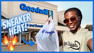 GOODWILL DIDN'T KNOW WHAT THEY HAD THIS TIME!