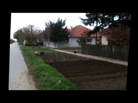 Riding around Debeljaca, Serbia Part 1