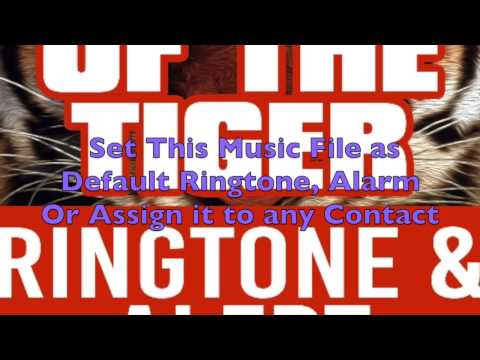 Eye of the Tiger Ringtone Video
