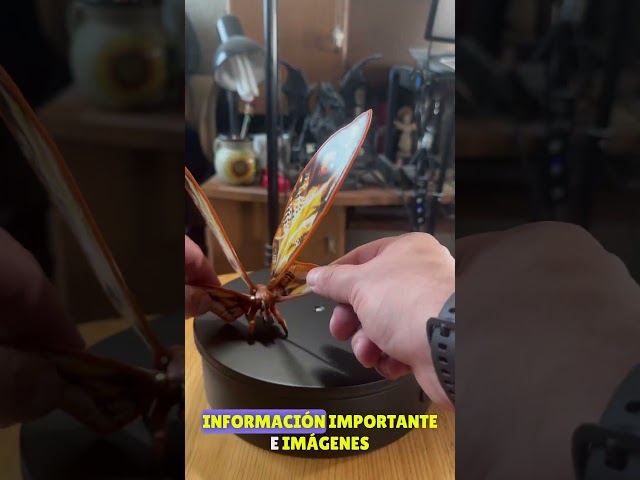 Vídeo relacionado con MonsterVerse Godzilla x Kong: El Nuevo Imperio, Figura de acción Mothra de 15 cm, icónica Figura de película Coleccionable, Incluye Mini JIA de 2,5 cm, Apto para niños a Partir de 4 años