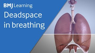 Basics of ventilation: Deadspace in breathing