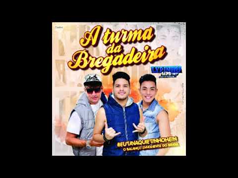 A TURMA DA BREGADEIRA 2018   CD NOVO 2018   LANÇAMENTO MUSICAS NOVAS 2018   REPERTÓRIO NOVO