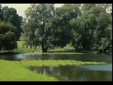 Mittendrin - In einer Feuchtwiese/14.01.1989 - Folge 2