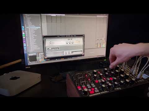 Ampeg SVT-VR Classic - Playthrough - Subharmonicon and Amp | Plugin Alliance