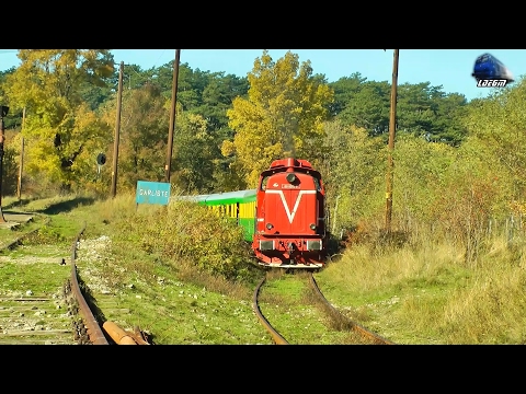 LDE 69-0003-9 & R9695 Oravita-Anina in Gara Garliste Station [Autumn Edition] - 24 Ocotober 2015