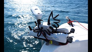 Comparison of the Haswing Cayman GPS 54", 55lbs Motor Wireless Remote Control and the MotorGuide