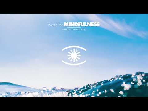 Santino Surfers - Turtle Dance - 0338