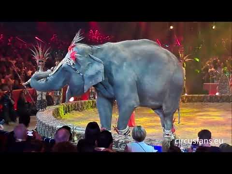 Gli animali esotici del Circo Madagascar al 47° Festival del Circo di Monte-Carlo (2025) - Martini