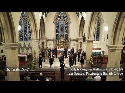 The Turtle Dove - Vaughan Williams (Antiphon Chamber Choir)