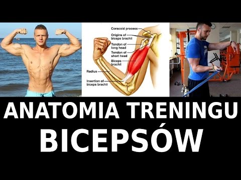 Pośladki zdjęcia Kulturystyka dlaczego ból mięśni