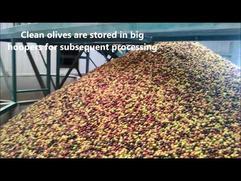 New application of Pulsed Electric Field in olive oil production