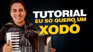 Tutorial de Como Tocar Eu só Quero um Xodó - Dominguinhos