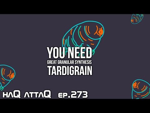 Tardigrain a very Special Granular Synthesizer for iOS │ haQ attaQ 273 Docutorial