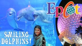 Disney's Epcot Theme Park! Smiling Dolphins and Soaring Around the World!  | Crazy8Family