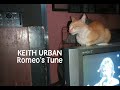KEITH URBAN   Romeo's Tune