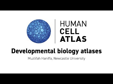 Hinxton 2018 - Developmental biology atlases