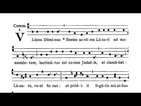 Feria VI post Dominicam IV Quad. (Friday after IV Sunday of Lent) - Communio (Videns Dominus)