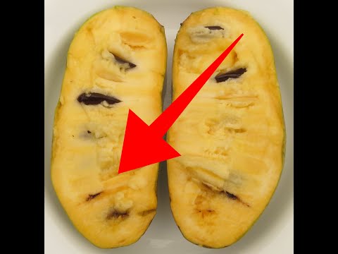 Pawpaw Class Preview