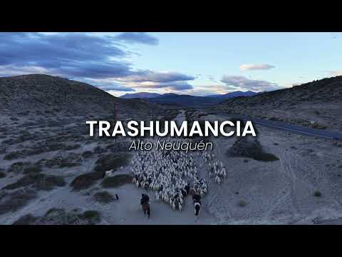 Trashumancia Alto Neuquén-Chos Malal