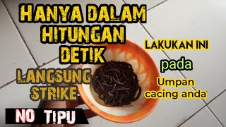 Download lagu 'NECKLE WORM MIX' Galatama and daily catfish bait mp3 Download lagu 'NECKLE WORM MIX' Galatama and daily catfish bait mp3