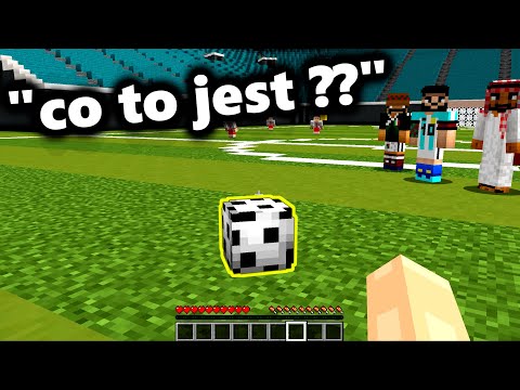 reprezentacja polski w minecraft