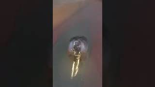 When you hit warp factor 5 on your bike.....