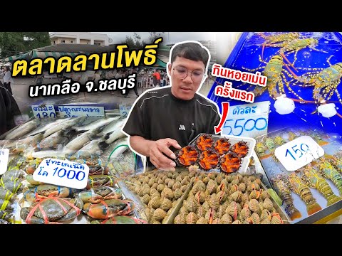กินหอยเม่นครั้งแรก!! ตลาดลานโพธิ์ จ.ชลบุรี | CLASSIC NU