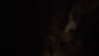 Rainin&#39; in my Heart - Neil Young cover - Hobb&#39;s End