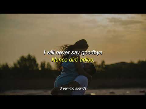 Shallou, Emmit Fenn - All Your Days (Lyrics + Sub. Español)